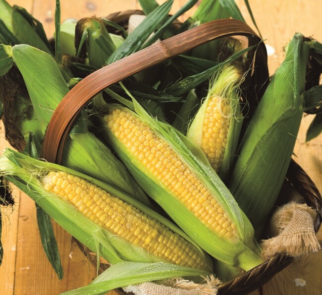 【西武池袋本店】秋の北海道うまいもの会