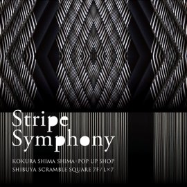 Stripe Symphony