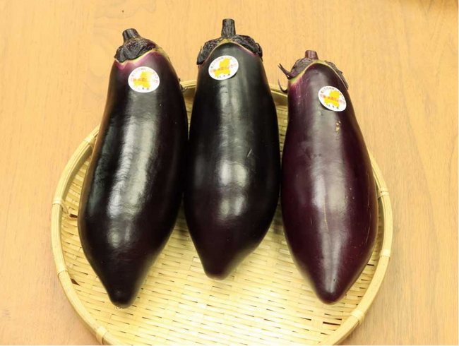 【岐阜県高山市】飛騨高山で100年以上前から作られてきた伝統野菜「国府なす」が、岐阜県「飛騨・美濃伝統野菜」に認証