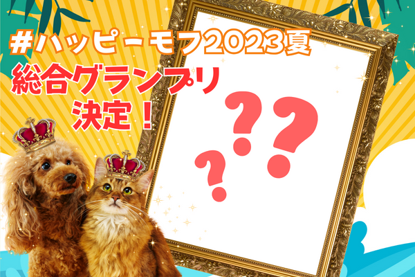 【夏のベストショット！】をテーマにコラボフォトコンテストを実施！464枚の応募の中からグランプリが決定！