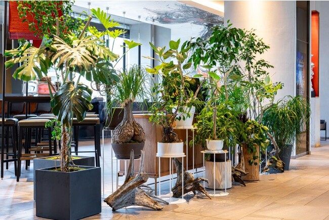 【プルマン東京田町】Reborn Plantsを使用した「PULLMAN BOTANIC GARDEN」を開催【開業5周年記念特別展示】