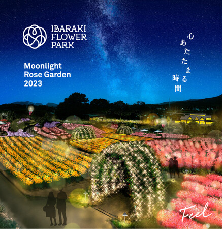【いばらきフラワーパーク】花や自然をやさしい灯りで照らす「Moonlight Rose Garden」を９０日間にわたって開催！幻想的な光の演出で「心あたたまる時間」を