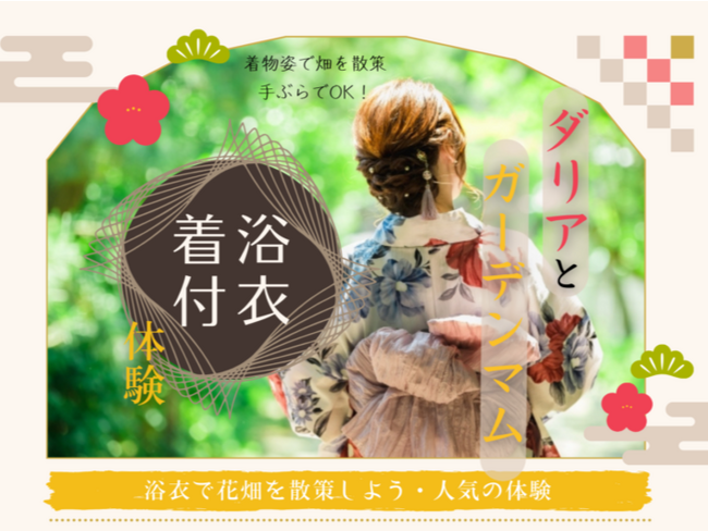 世羅高原農場ダリアとガーデンマム祭　浴衣レンタルとロケーション撮影会