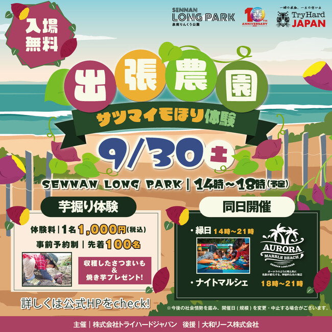 【大阪泉南】泉南の海辺でさつまいも堀りを体験しよう！「出張農園～さつまいも堀り体験～」実施決定。ライトアップ企画「Aurora Mable Beach」も同日開催！