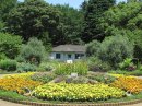 オリーブ広場 オリーブ広場