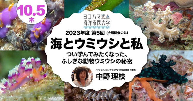 ヨコハマ海洋市民大学2023年度 第5回講座「海とウミウシと私～つい学んでみたくなった、ふしぎな動物ウミウシの秘密」を開催します。