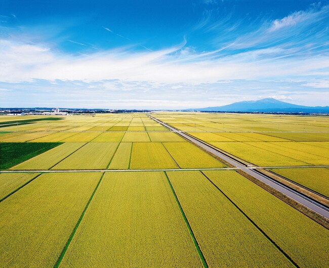 ～伝統を受け継ぎ、丹精込めて米作りに挑む生産者に密着～ 山形県内 新米の収穫シーズンが最盛期　休暇村庄内羽黒ではブランド米三種を食べ比べでご提供