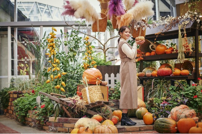 かぼちゃ約300個とドライフラワーのハロウィン”映えスポット”が登場。神戸布引ハーブ園の「ハロウィンフェア2023」は「ナチュラル×可愛い」をテーマにしたディスプレイが各所で楽しめます。