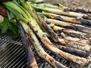 肉厚な白ネギを真っ黒になるまで蒸し焼きにするスペイン料理のカルソッツ 肉厚な白ネギを真っ黒になるまで蒸し焼きにするスペイン料理のカルソッツ