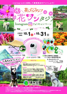 花ワンタジア概要