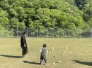 子どもから大人まで楽しめるスポーツ「クッブ」