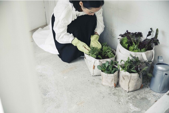 完全有機で家庭菜園を楽しみたい方のための　完全有機土『THEO（ジオ）』の主要成分である整える完全有機肥料『oiTHEO（オイジオ）』が9月30日（土）に発売！