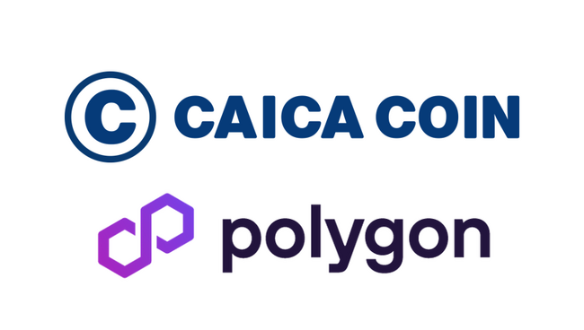 カイカコインのPolygonチェーン対応完了！～カイカコインをブロックチェーンにおけるゲームコインに！～
