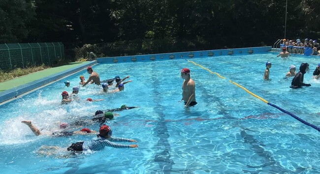 子どもの泳力向上と地域の課題解決を目指し小中学校の水泳授業を積極的に受託