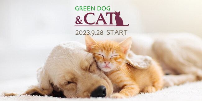 プレミアムフード・ケア専門店 GREEN DOG 猫用品を500種以上に増やし、2023年9月28日(木)GREEN DOG & CATをスタート