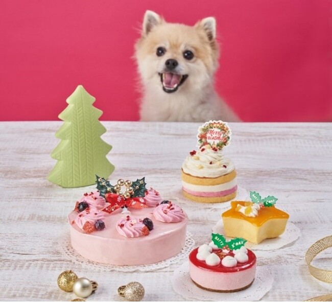 わんちゃん・ねこちゃん用のクリスマスケーキとおせち10月1日（日）より、ペテモにて予約販売を開始
