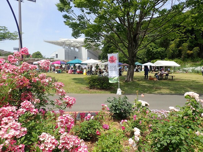 【東京都町田市】野津田公園「ROSE FEST 2023 秋」を開催します