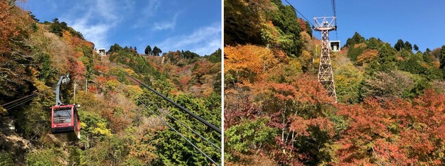 身延山の紅葉シーズンは10月下旬から！「身延山ロープウェイ紅葉キャンペーン」10/22(日)～11/26(日)開催