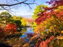 eXcafe祇園八坂の店内から見た紅葉の景色 eXcafe祇園八坂の店内から見た紅葉の景色