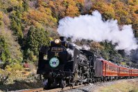 秋の彩りが始まる秩父・長瀞を走るSLパレオエクスプレス　10月7日(土)より車内販売で「SLパレオのプリンぱん」「SL PALEO GELATO イタリアン・マロングラッセ」が登場！