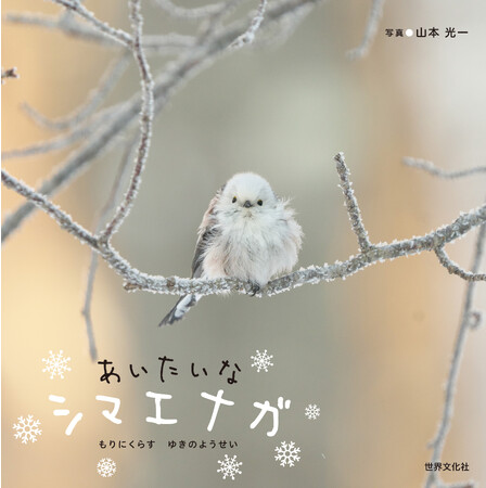かわいすぎて大人気！しろくてふわふわ《シマエナガ》の写真絵本発売！『あいたいな シマエナガ』
