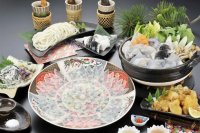 産地直送通販サイト「ＪＡタウン」のショップ「サトクル」より、 「株式会社ふく太郎本部」の商品が新発売！ 「とらふくフルコース」や「ふくちりセット」などの商品を 豊富にラインナップ！