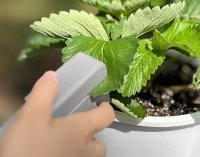 植物の環境ストレスによるSOS信号を検知ができる計測技術を10/11開催「第13回 農業WEEK AGRI WEEK TOKYO」に出展
