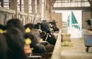 世界農業遺産認定「但馬牛」