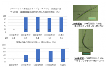 シーマロックス液肥にセンチュウ抑制効果　土壌での実験結果を発表　～サツマイモネコブセンチュウ密度が半減～