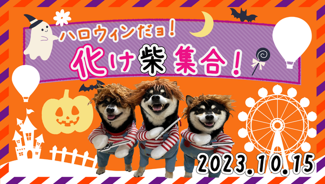 ～ハロウィンだョ！那須ハイに化け柴集まれ！～10月15日に柴犬オフ会開催のお知らせ！