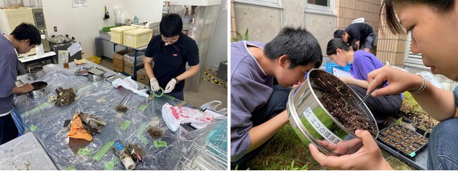 「ごみ地層」の謎を解く！広げようあきたの海を守る活動の環 砂浜地層報告会を実施！