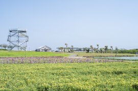 「長井海の手公園（ソレイユの丘）」_日比谷花壇