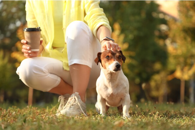 ラフォーレリゾート修善寺 秋めく修善寺で、愛犬との思い出作りを「Autumn Doggycation in Shuzenji 」開催DOG YOGAや毛玉クラフト体験、ゲーム大会など
