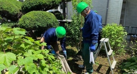 平均年齢70歳！定年後も働き甲斐と生きがいを提供、大阪で「お庭きれいサポーター」を募集スタート！