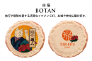 商品画像「白猫 BOTAN」