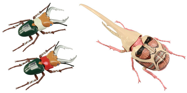 『進撃の巨人』より、キャラクターイメージカラー仕様のカブトムシやクワガタムシが、リアルな造形のプラスチックモデルキットになって登場。