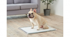 犬用デザイナーズトイレ「クリアレット」シリーズの新製品が10月12日に予約発売開始！段差がなく、シニア犬も利用しやすい形状