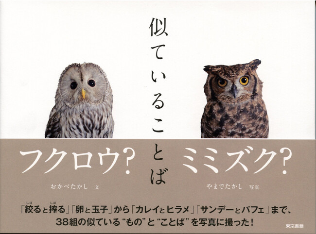 【9刷重版】「似ていることば」似ている“もの”と“ことば”の違いが一目でわかる写真集。