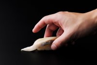 旬を極める北海道の“妥協なき一品”　老舗で愛される「匠の〆さば」を全国へ