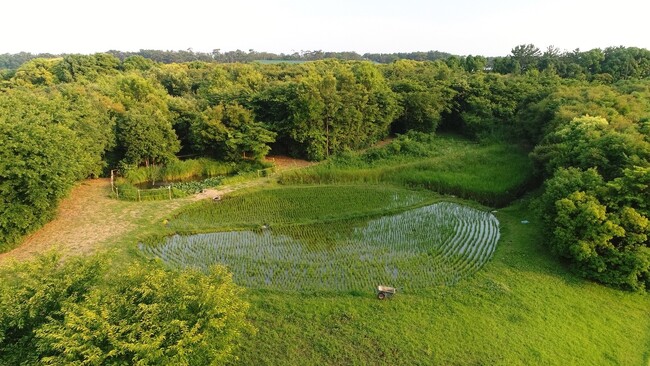 環境省による生物多様性保全のしくみ 自然共生サイトに「あさひ・いのちの森」認定