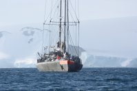 タラ号海洋プロジェクトの成果：巨大ウイルス、遺伝子組成の変化による環境適応が明らかに