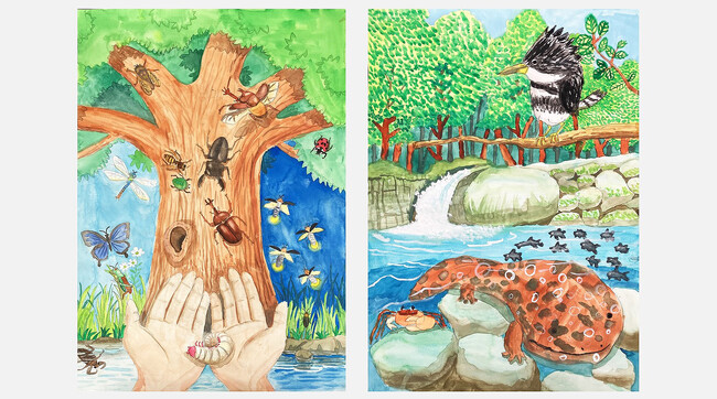 「きれいな空気・水と生きもの」をテーマにした「第18回環境絵画コンクール」の優秀作品が決定