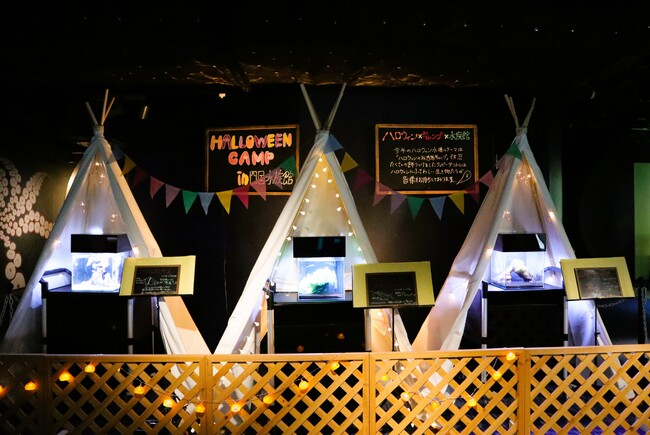 お洒落ハロウィンを楽しんで「HALLOWEEN CAMP IN 四国水族館」開催