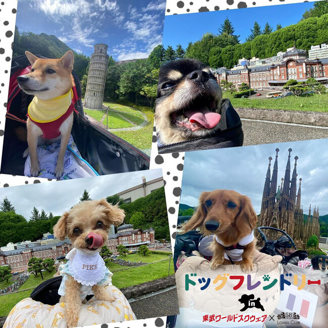 2023年11月1日より、日付を限定してわんちゃんと園内を楽しめる「わんちゃんフリーＤＡＹ」をスタート！また、11月11日には、５８ロハスクラブとのコラボ企画としてドッグマルシェを開催します！