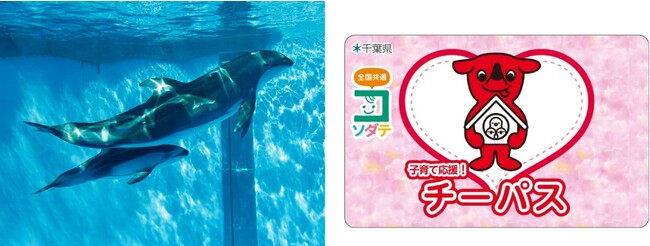 【鴨川シーワールド】11月は各自治体の「子育て支援パスポート」提示でお得な家族割引　「家族の日」にちなみ、「家族月間」特別割引を実施