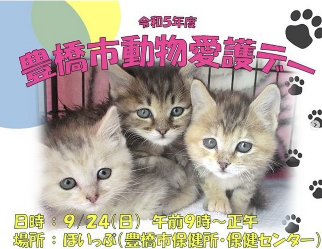 動物愛護センター(仮称)開所に向け、愛知県豊橋市が保護犬・猫の暮らしぶりを伝えるインスタ開設