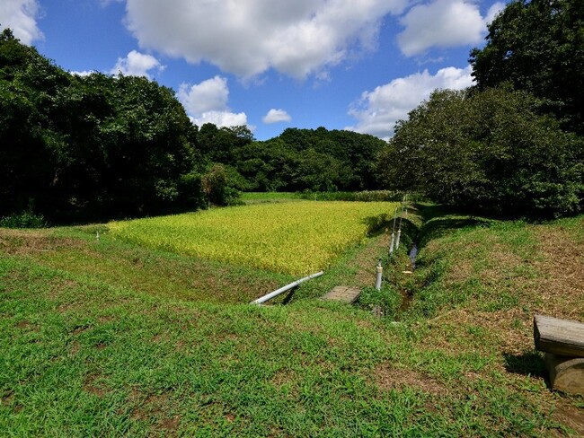 初 認 定 グリーンポート エコ・アグリパークが「自然共生サイト」に認定されました