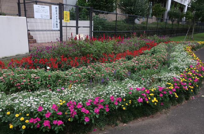 【東京都町田市】2023年度秋の花壇コンクール 受賞花壇を決定しました!