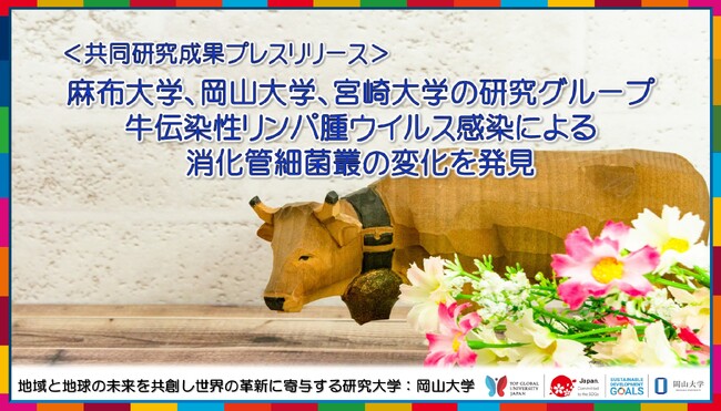 麻布大学、岡山大学、宮崎大学の研究グループが牛伝染性リンパ腫ウイルス感染による消化管細菌叢の変化を発見