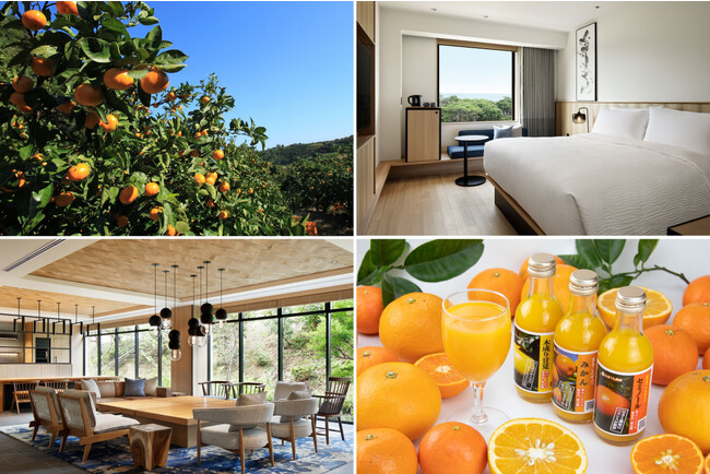 【フェアフィールド・バイ・マリオット 道の駅プロジェクト】年中みかんのとれる三重県御浜町へ。11月3日（金）、みかん狩り体験イベント開催！